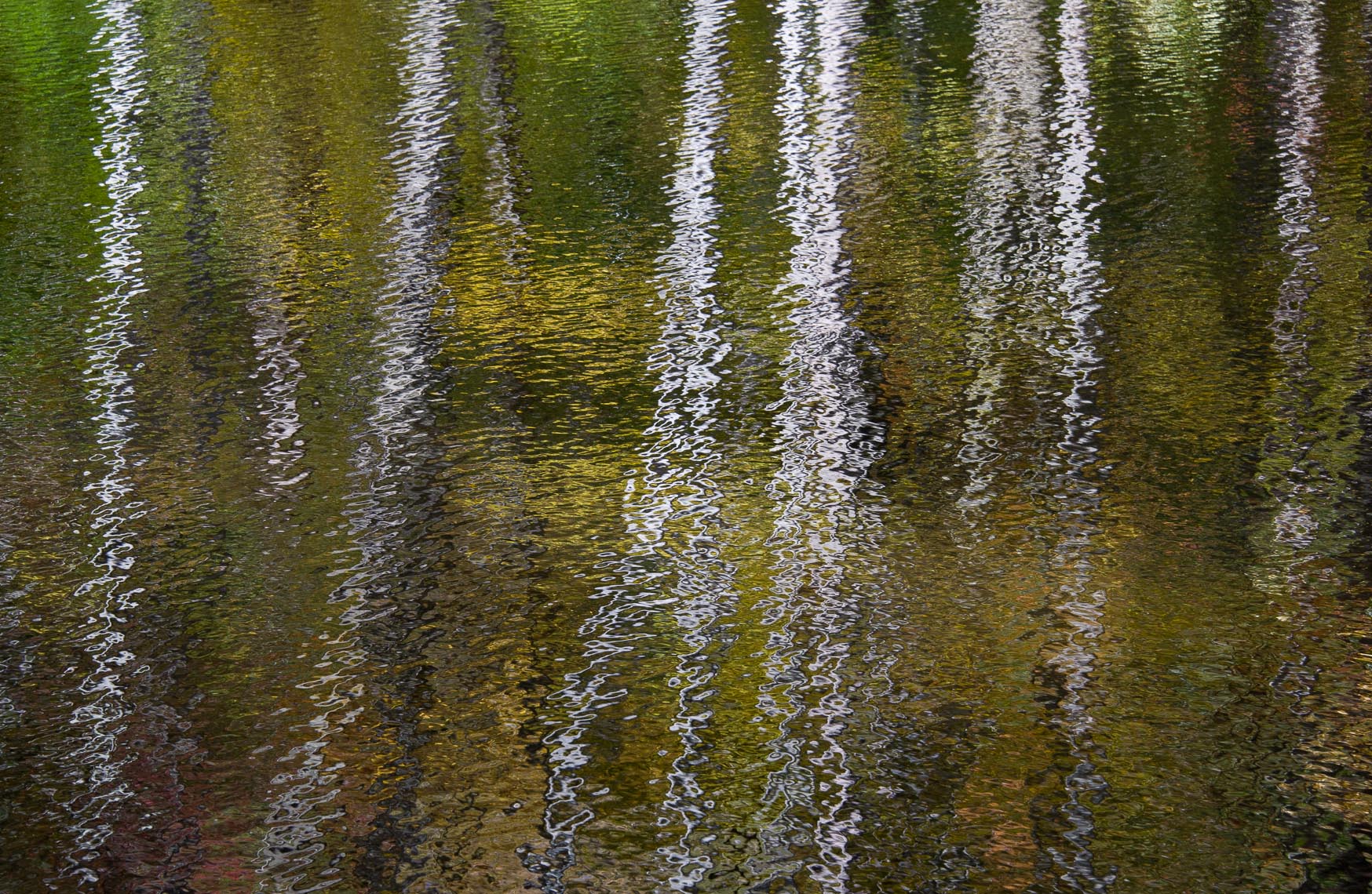 20101009-0473